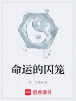 命运的囚笼类似