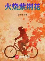 火烧紫荆花2在线播放免费观看