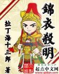 锦衣杀明TXT