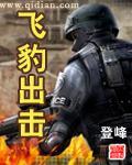 飞豹出击全文在线阅读