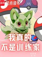 我真的不是训练家 陆老师精灵