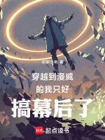 穿越到漫威的我只好搞幕后了txt