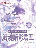 银龙王武魂九个魂技