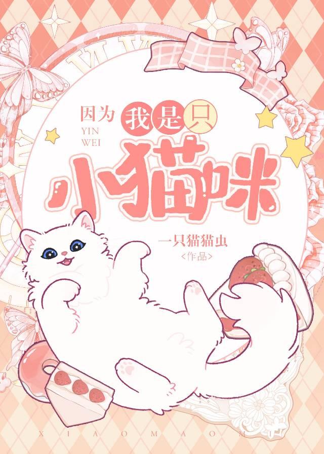 因为我是只小猫咪原著改编的什