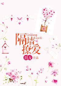 隔墙撩爱全部番外