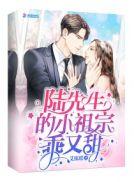 陆先生的小祖宗乖又甜艾依瑶男主演是谁