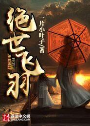 绝世飞刀免费