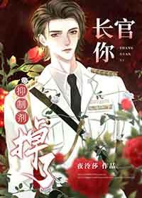长官你抑制剂掉了番外夜泠莎