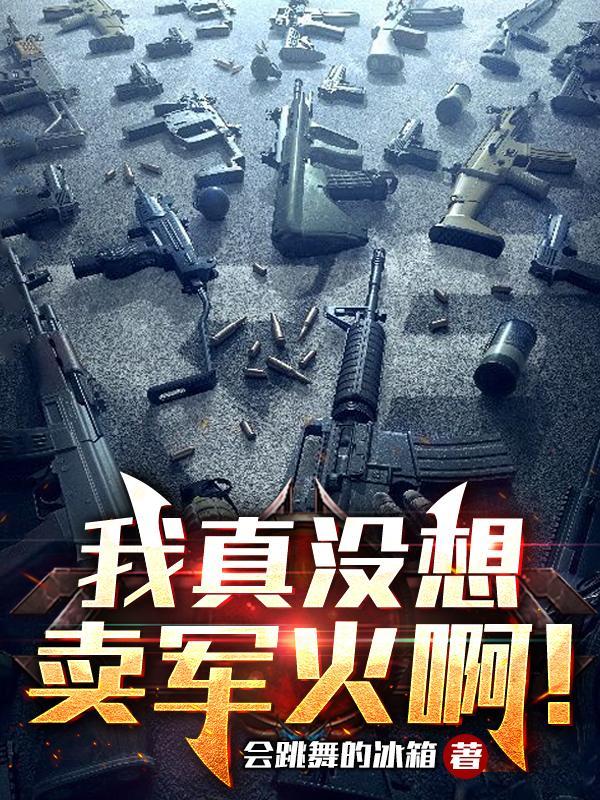 我真没想卖军火啊! 笔趣阁