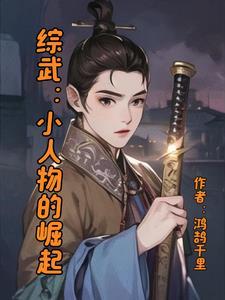 综武小人物的崛起TXT免费