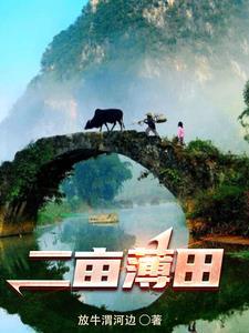 重生之山沟小农民