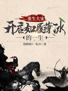 金戈铁马宋代诗人