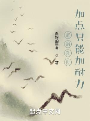 武道乱世加点只能加耐力吗
