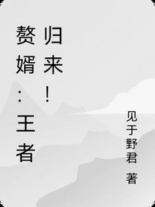 赘婿归来全本免费阅读