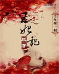 王妃反穿记讲的是什么