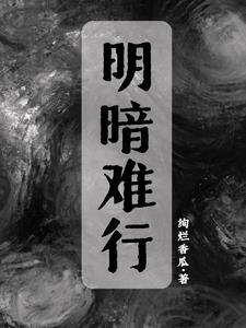 明暗是谁的作品