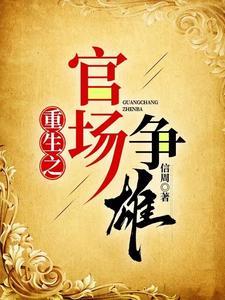 重生之官场争雄TXT