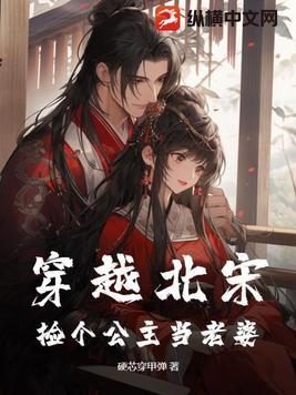 穿越北宋末年收公主