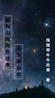 若有风来 便随风来 等风走