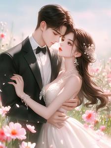 星辰似海爱如沧粟全文免费