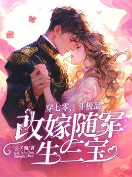 改嫁随军生三宝 公子澜