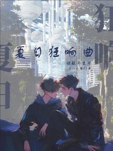 夏日狂想曲vcd