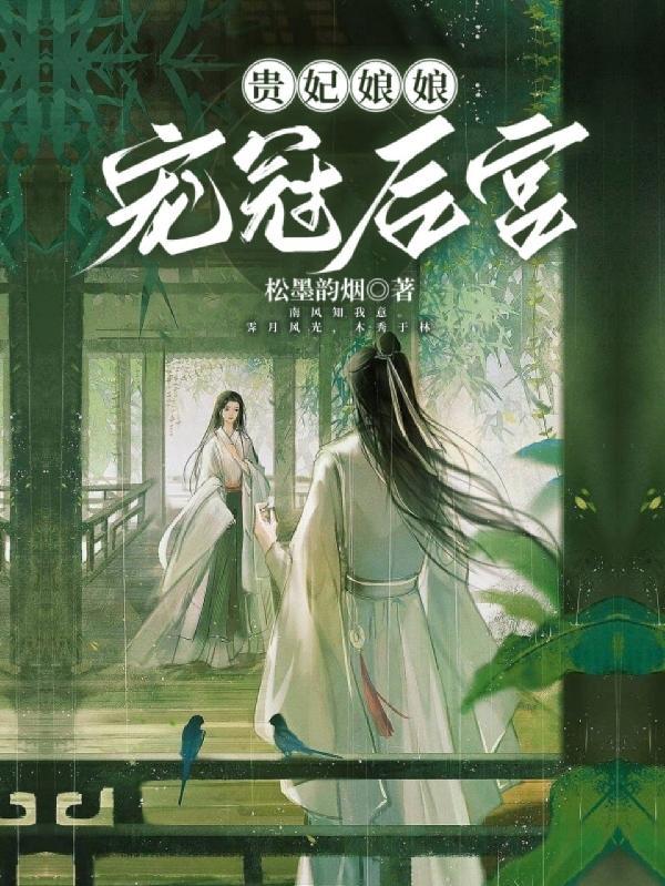 贵妃娘娘宠冠后宫 txt