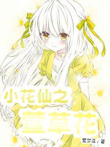 小花仙萱草花精灵王最新章节更新