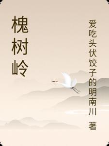 槐树岭小学怎么样