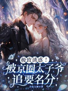 主角叫宋诗予段斯昀的小说