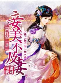 妾不如妻简介
