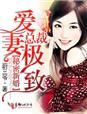 秘密婚约总裁强势宠