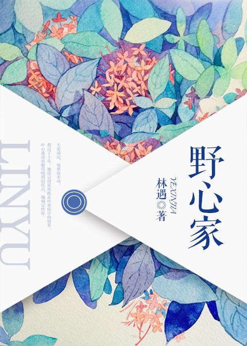 野心家石头与水讲的什么