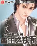 重生之铁腕人生txt