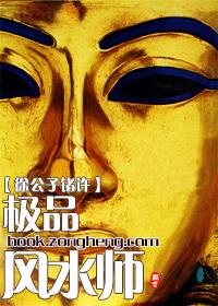 极品风水师全文TXT免费