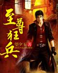 至尊狂兵叶玄全文阅读