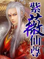 紫薇仙尊是什么意思