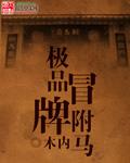极品驸马怎么样