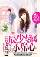 冷少甜妻免费阅读全文