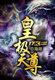 皇极天尊全文免费阅读