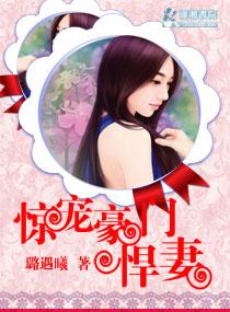 豪门之悍妻当道