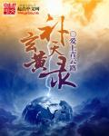 补天灵片的功效