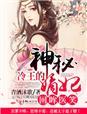 冷王的神秘嫡妃沐清歌夏侯璟