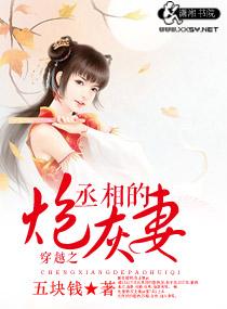 穿越之丞相夫人