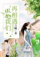 假如我们再相遇 歌词
