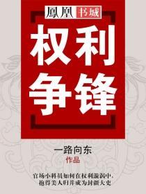 权利争锋全集阅读免费