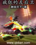 疯狂的左后卫无弹窗笔趣阁