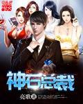 男神总裁的自毁