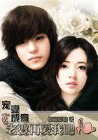 宠妻成瘾老婆你要乖全文免费