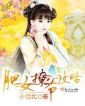 肥女撩爷攻略全文阅读